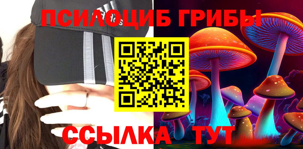 Вязники  Псилоцибиновые грибы мицелий  Галлюциногенные грибы Psilocybe  Вход с VPN 